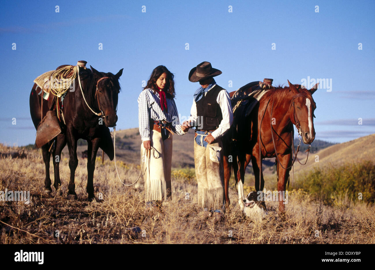 Image result for COWGIRLS WORKING IN RANCHES