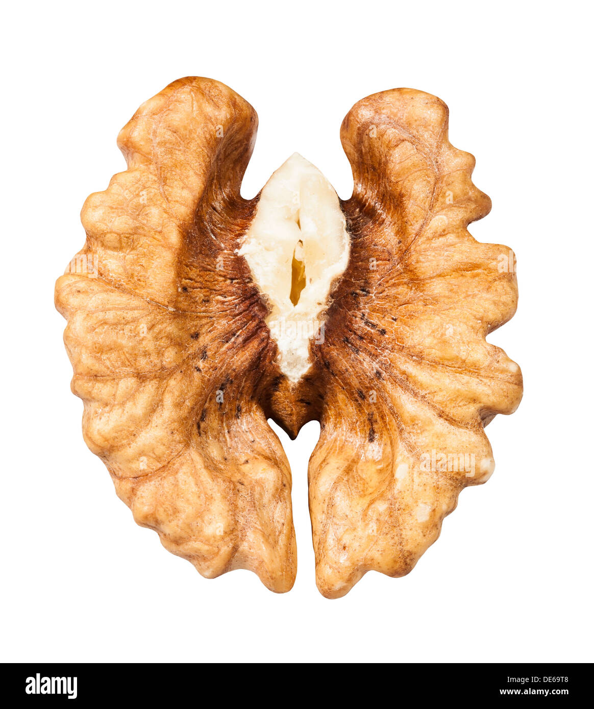 walnut one half on white background Stockfoto, Lizenzfreies Bild