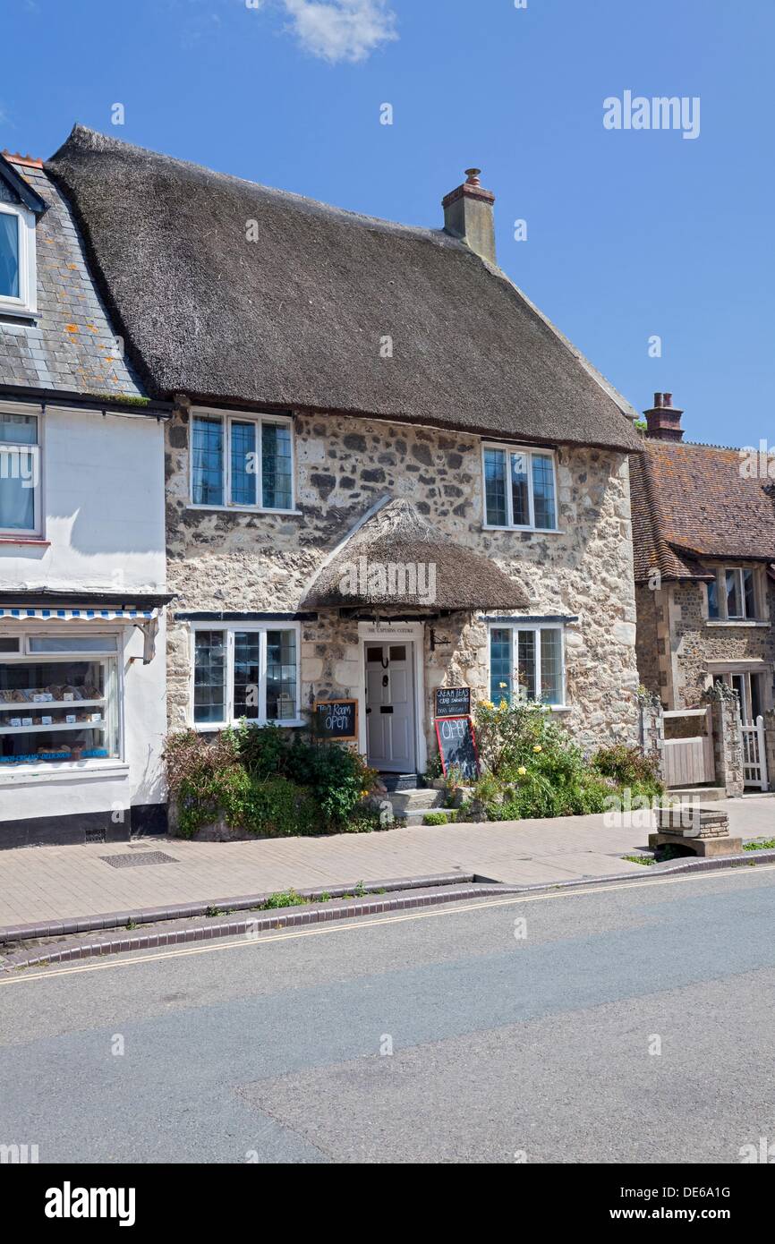 England Devon Beer Fore Street with ´The Captains Cottage´ Tea Room Stock Photo, Royalty Free