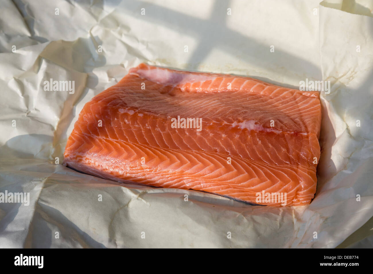 Close Up Fresh Salmon Fillet Stock Photo Alamy