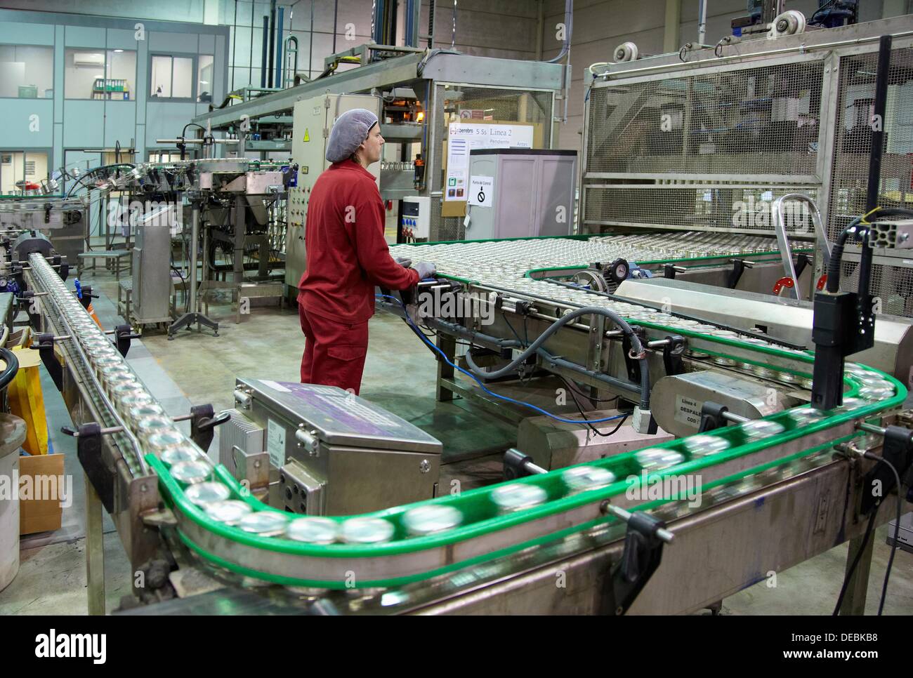 Labeling and packaging canned vegetables, Cans, Canning Industry Stock