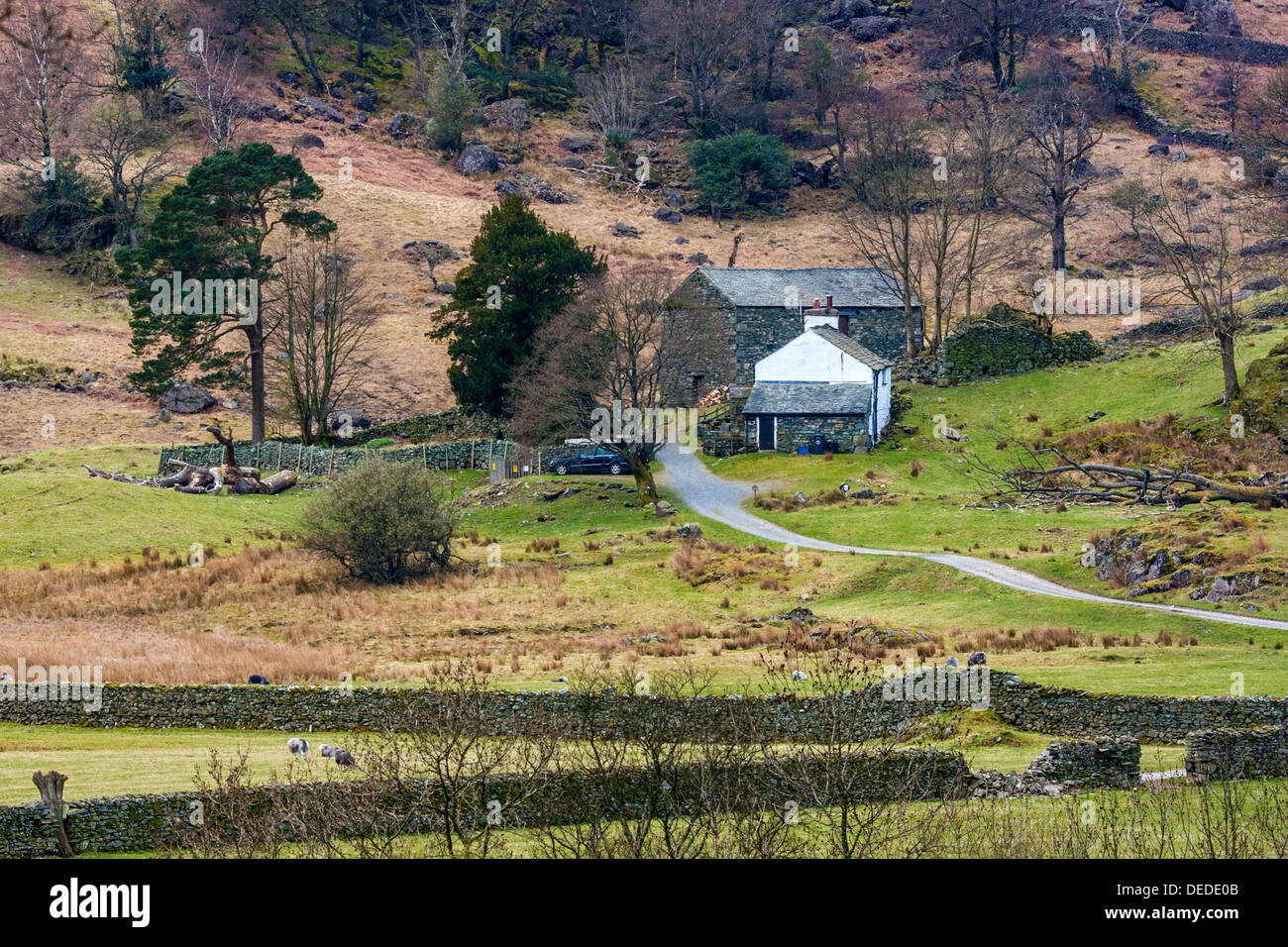 Small Hill Farm in the Lake District, Cumbria Stock Photo 60532651 Alamy