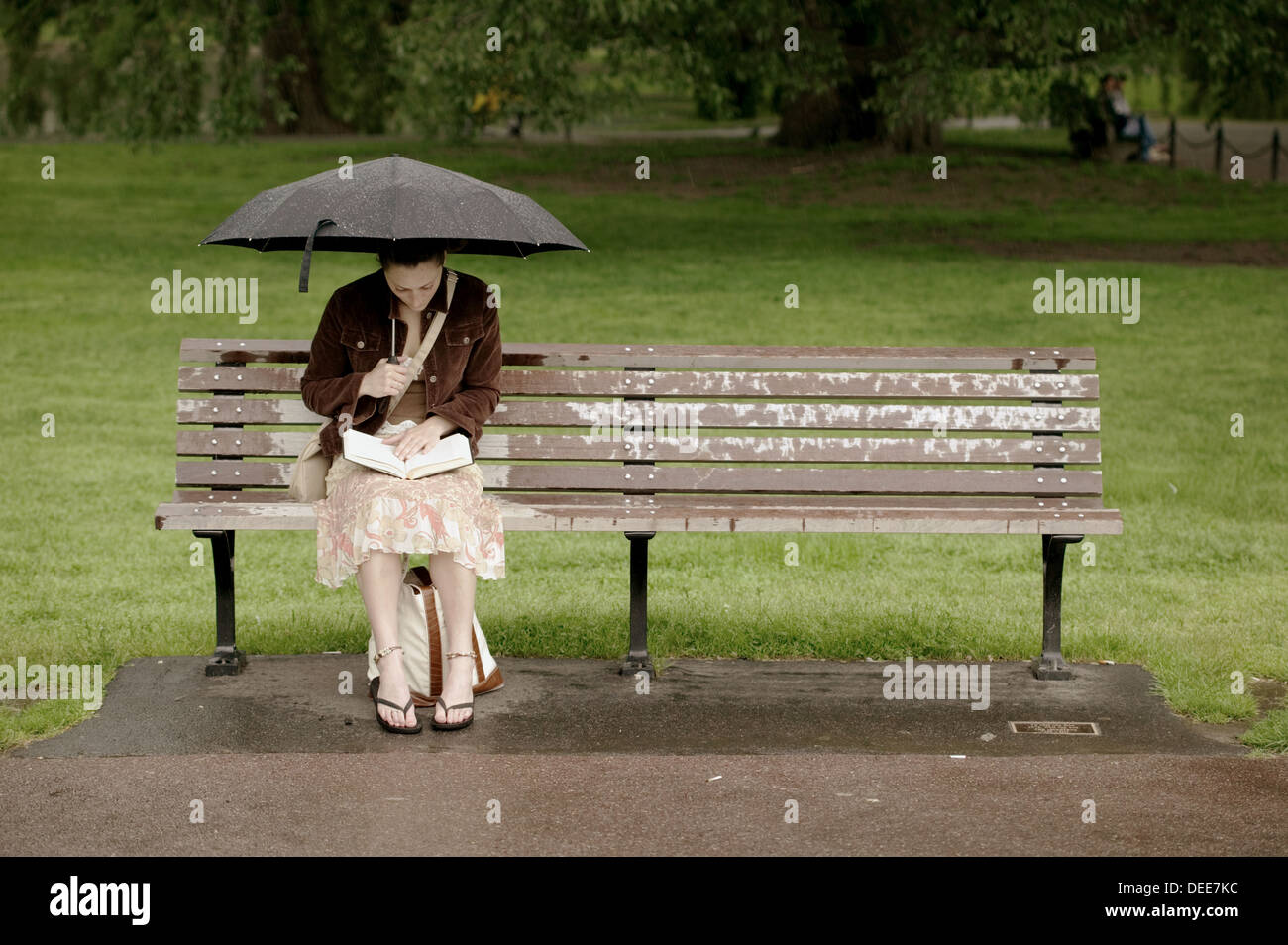 Woman on park bench, Public Garden, rain, Boston, Massachusetts. USA