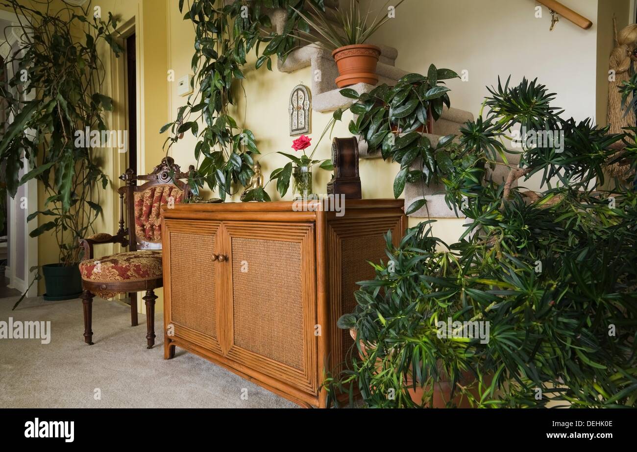 Antique upholstered chair and wicker cabinet with house plants in ... Antique upholstered chair and wicker cabinet with house plants in ...