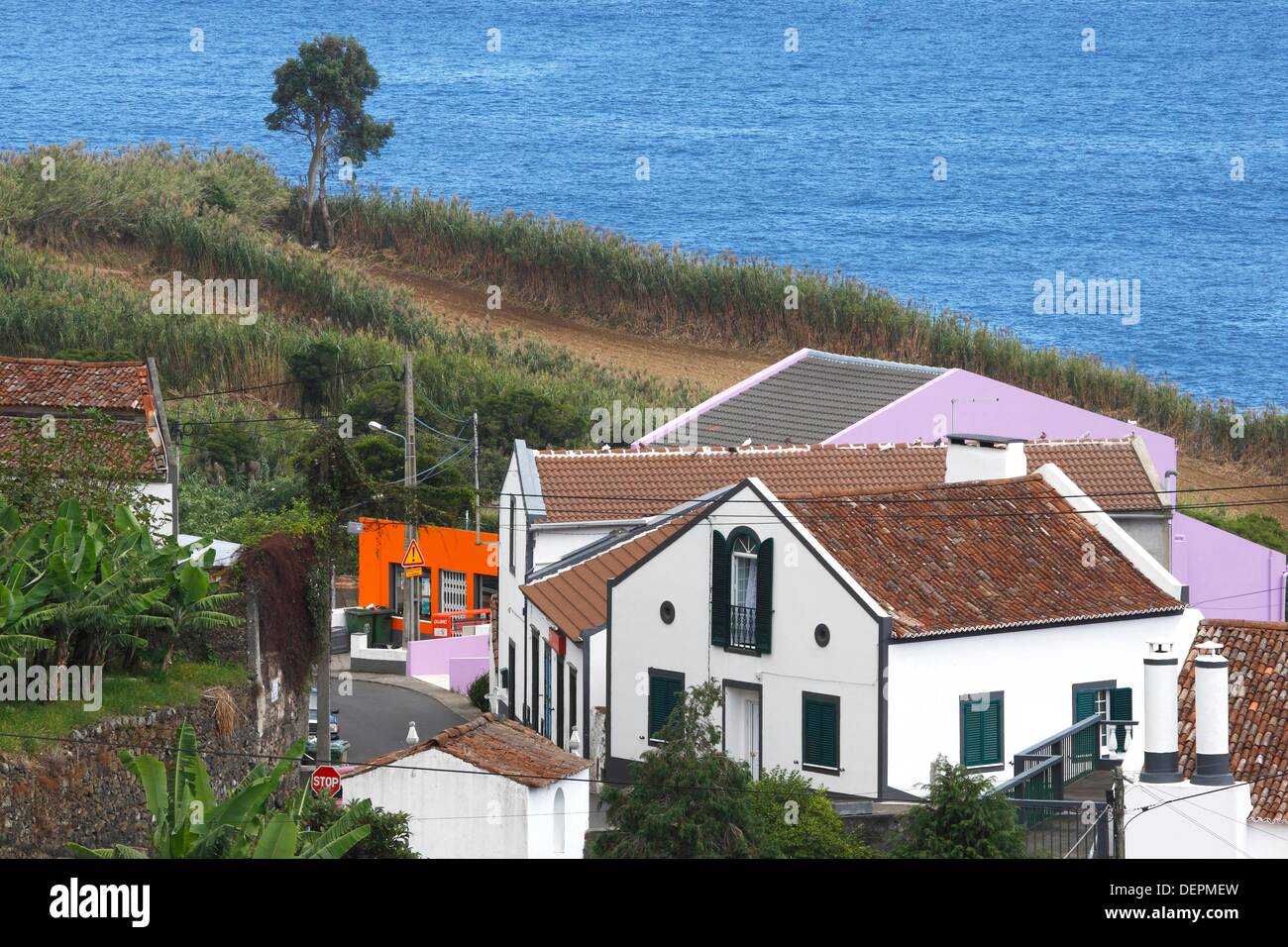Santo Antonio / Sao Miguel Island / Azores / Portugal Stock Photo