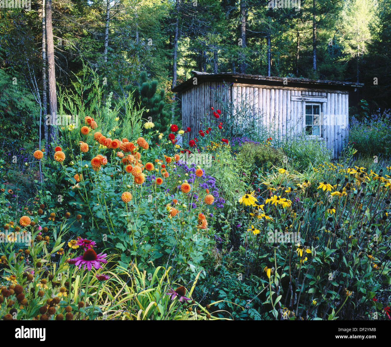 Garden Sheds Oregon garden sheds oregon potting chicken coops tree houses play systems Garden Sheds Oregon garden sheds oregon potting chicken coops tree houses play systems
