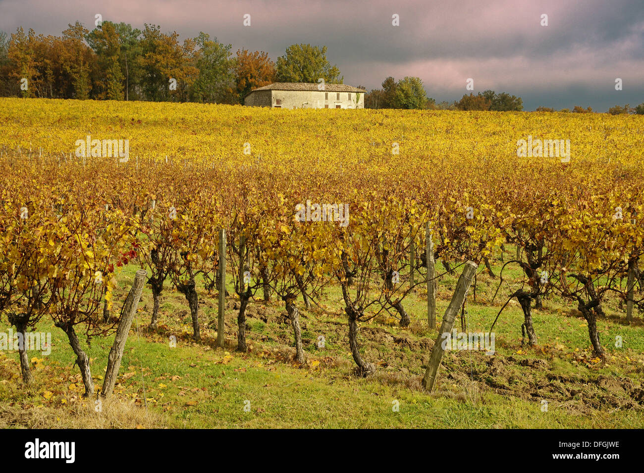 Latest Web Updates In the upcoming year there will be close to Rachel’s Vineyard Retreats offered in many different locations throughout the world. We invite you to make contact .