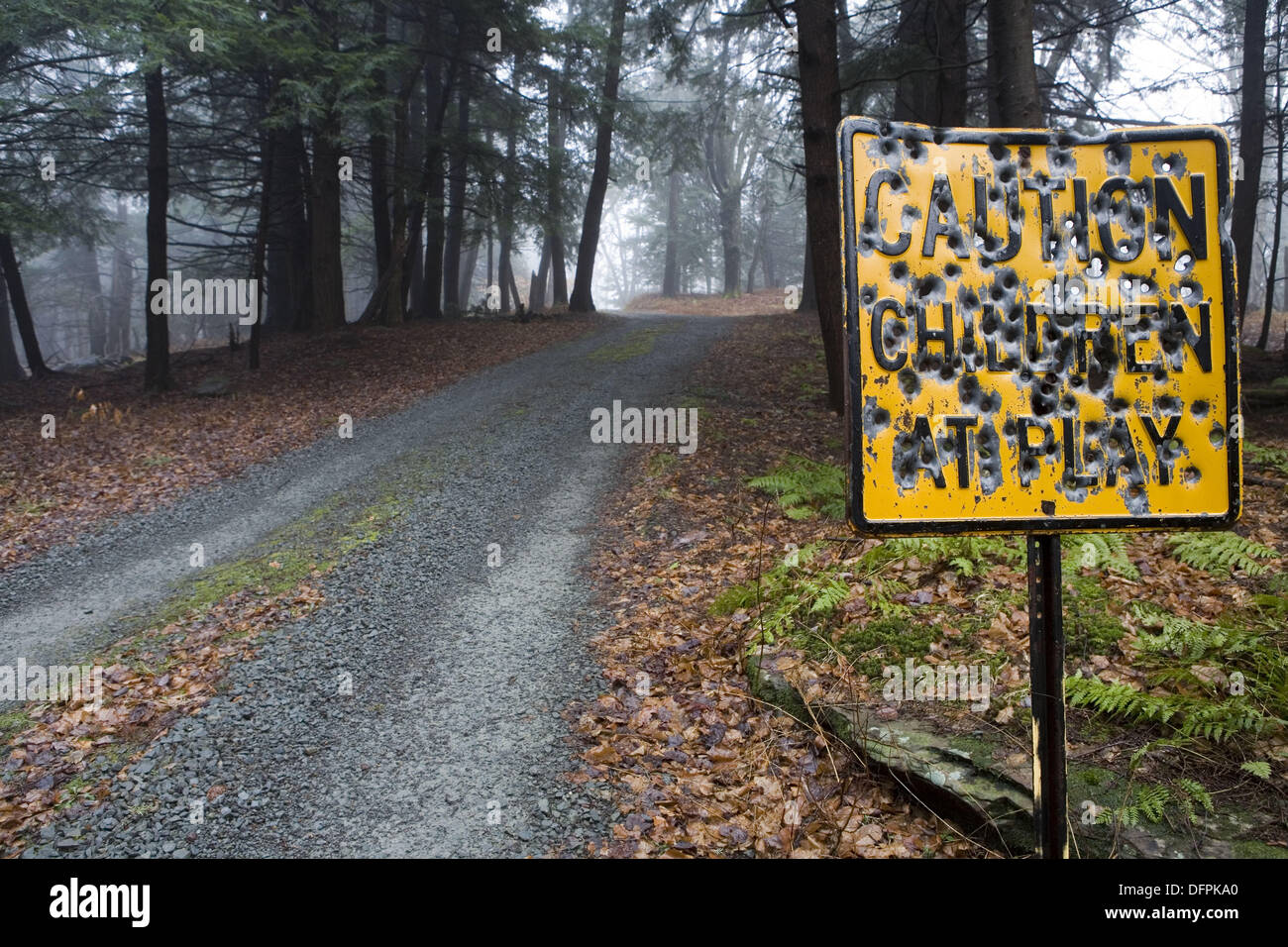 country-road-sign-shot-up-with-bullet-holes-DFPKA0.jpg