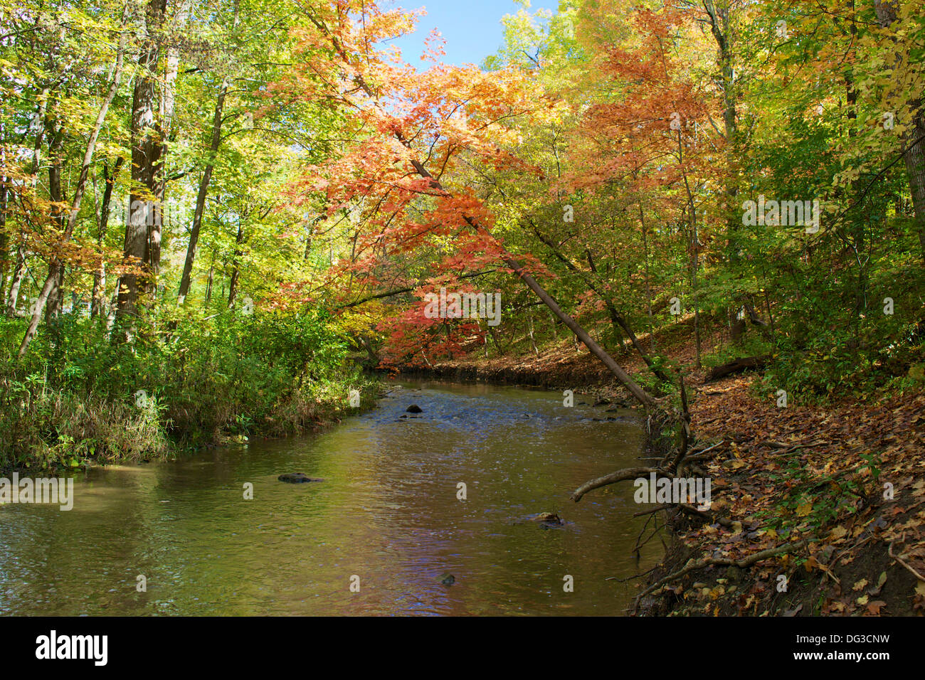 Autumn-scene-on-Sawmill-Creek-Waterfall-