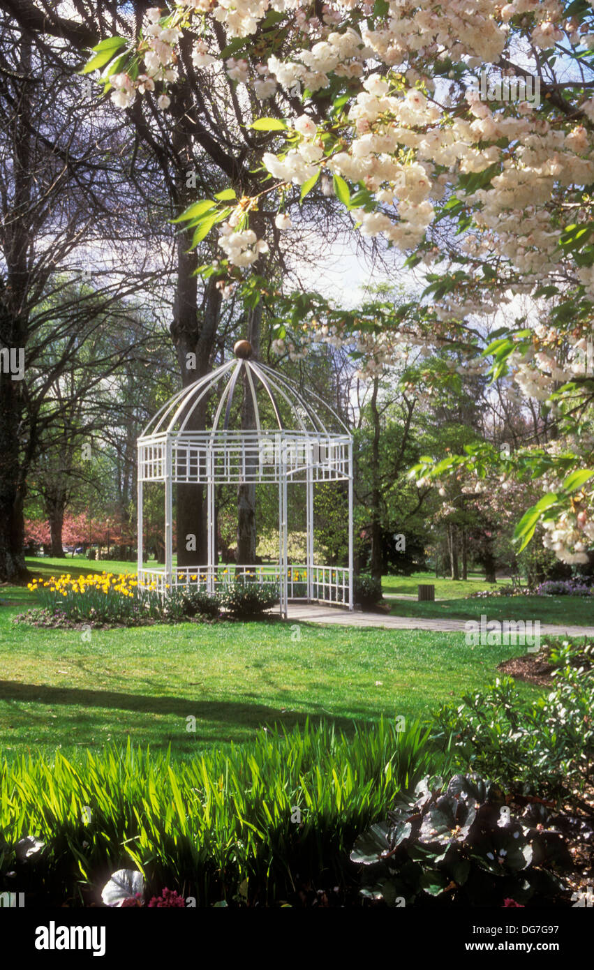 Gazebo, Wright Park, Washington Stock Photo, Royalty Free Image