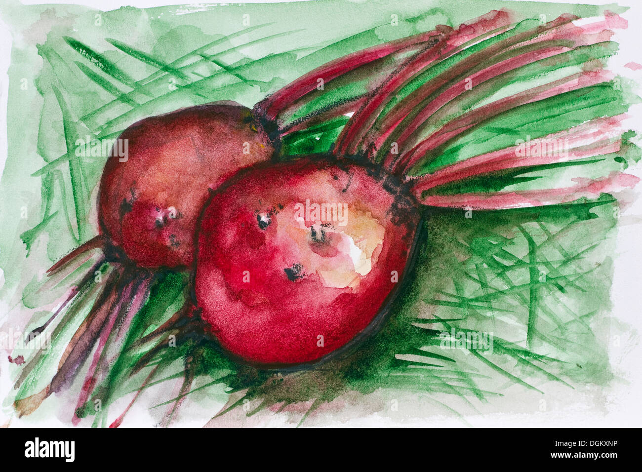 Red Mystical Beet Vegetables Handmade Watercolor Painting Illustration