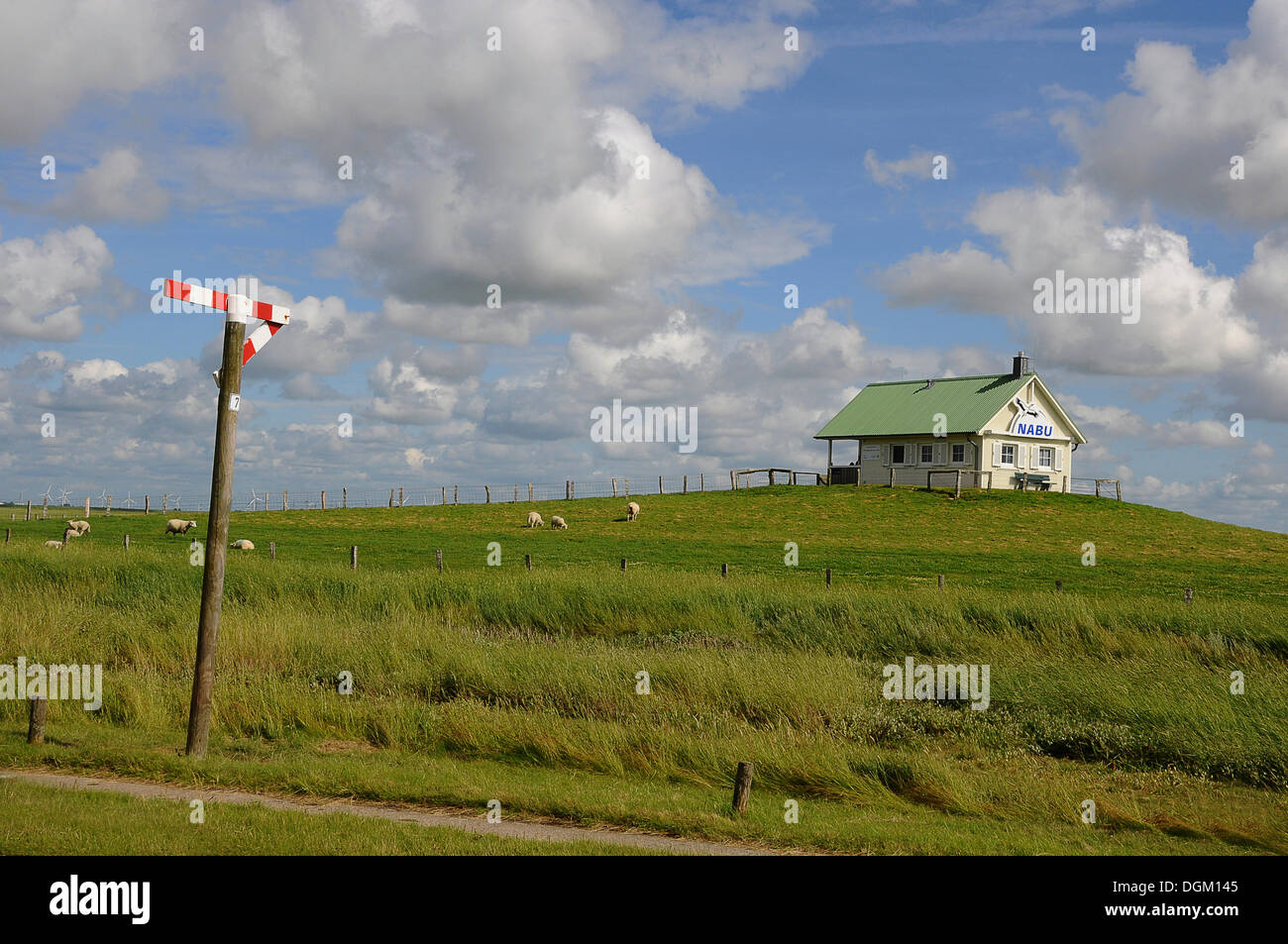 Nabu House On A Terp, Sheep On A Hill And A Traffic Barrier ...