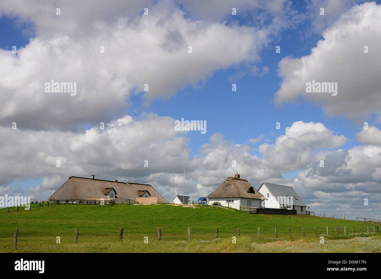 Salt Marshes And Houses With Thatched Roofs On A Terp ...