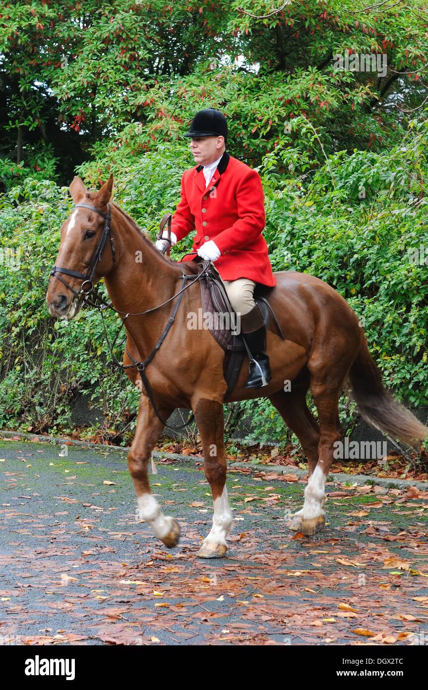 Houston, Renfrewshire, Scotland, UK. 26/10/2013. Lanarkshire Stock