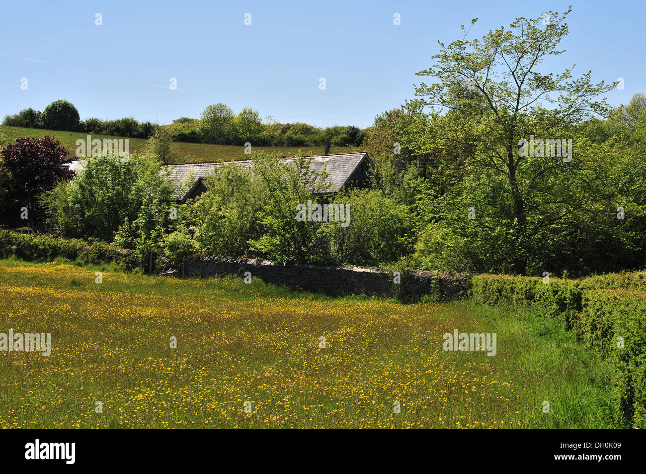 The roof of the old Comins Coch village school near Aberystwyth Stock