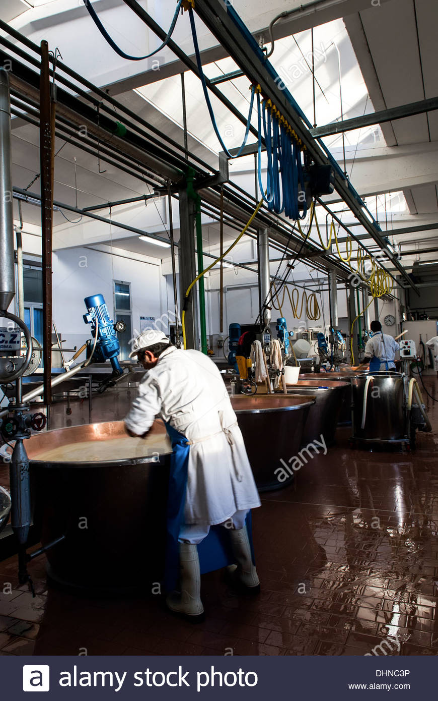 cheese factory,parmesan Stock Photo, Royalty Free Image 62550762 Alamy