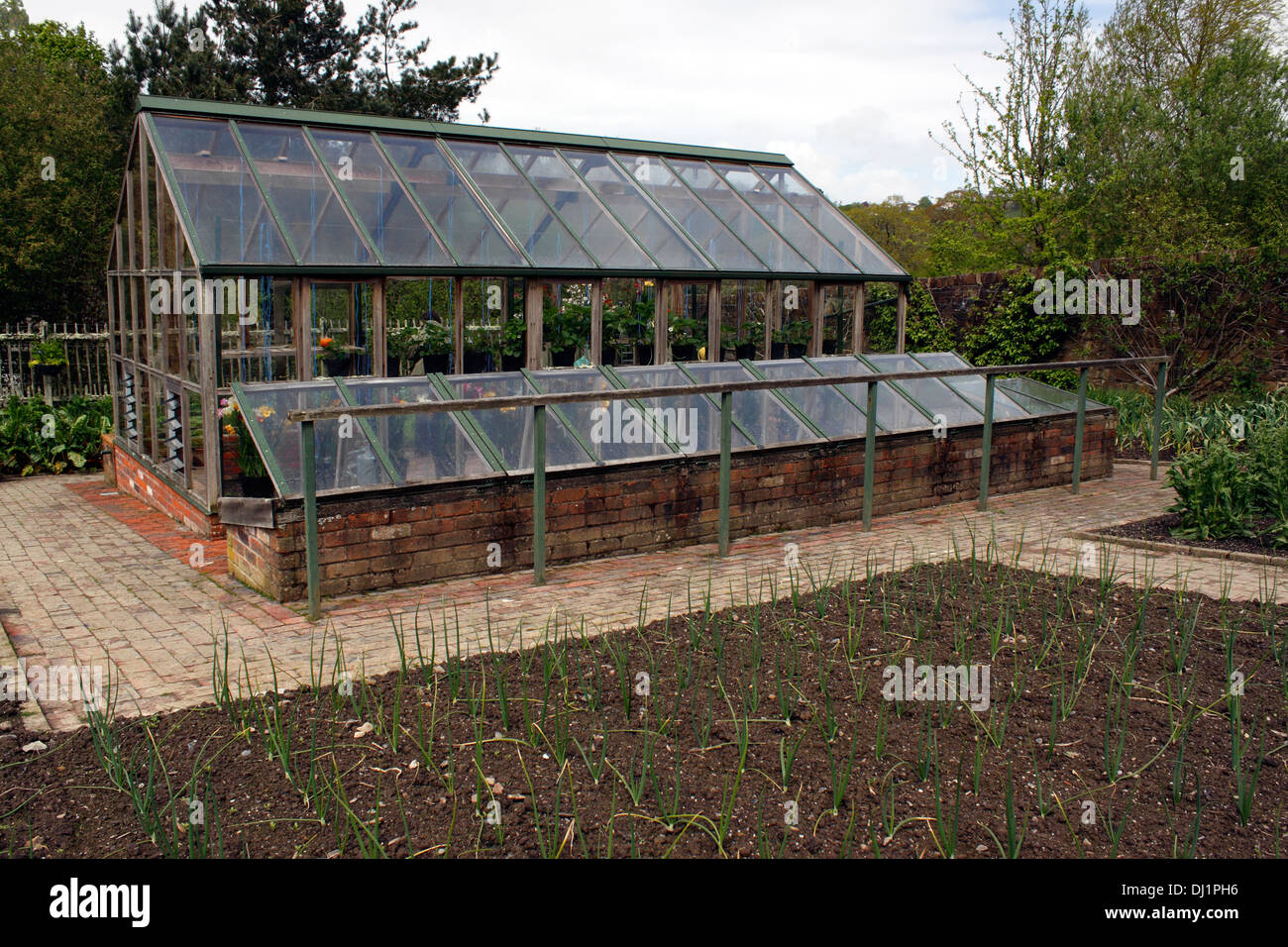 Cold house greenhouse Cold house greenhouse