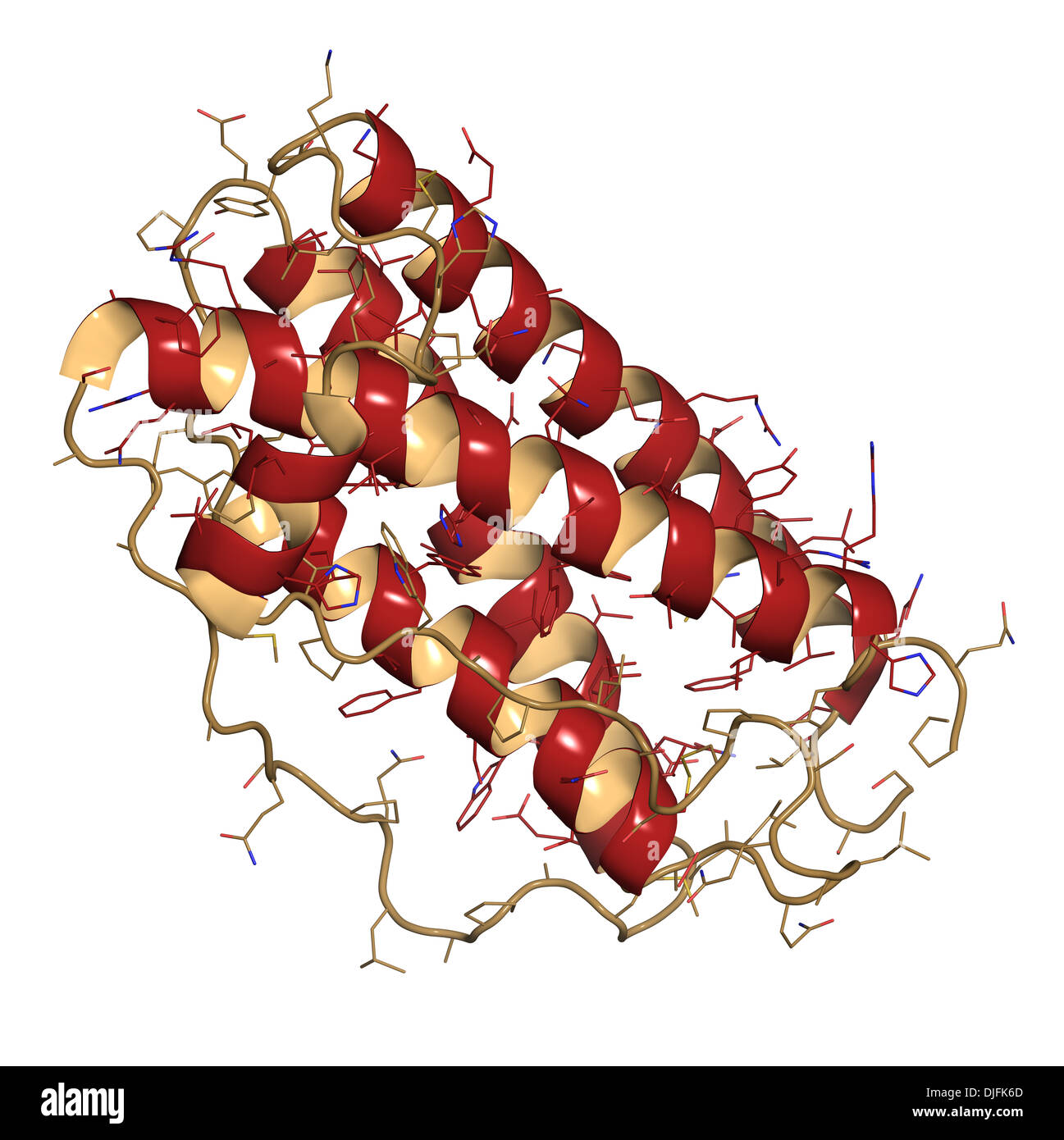 Granulocyte Colony Stimulating Factor GCSF Filgrastim Molecule Stock