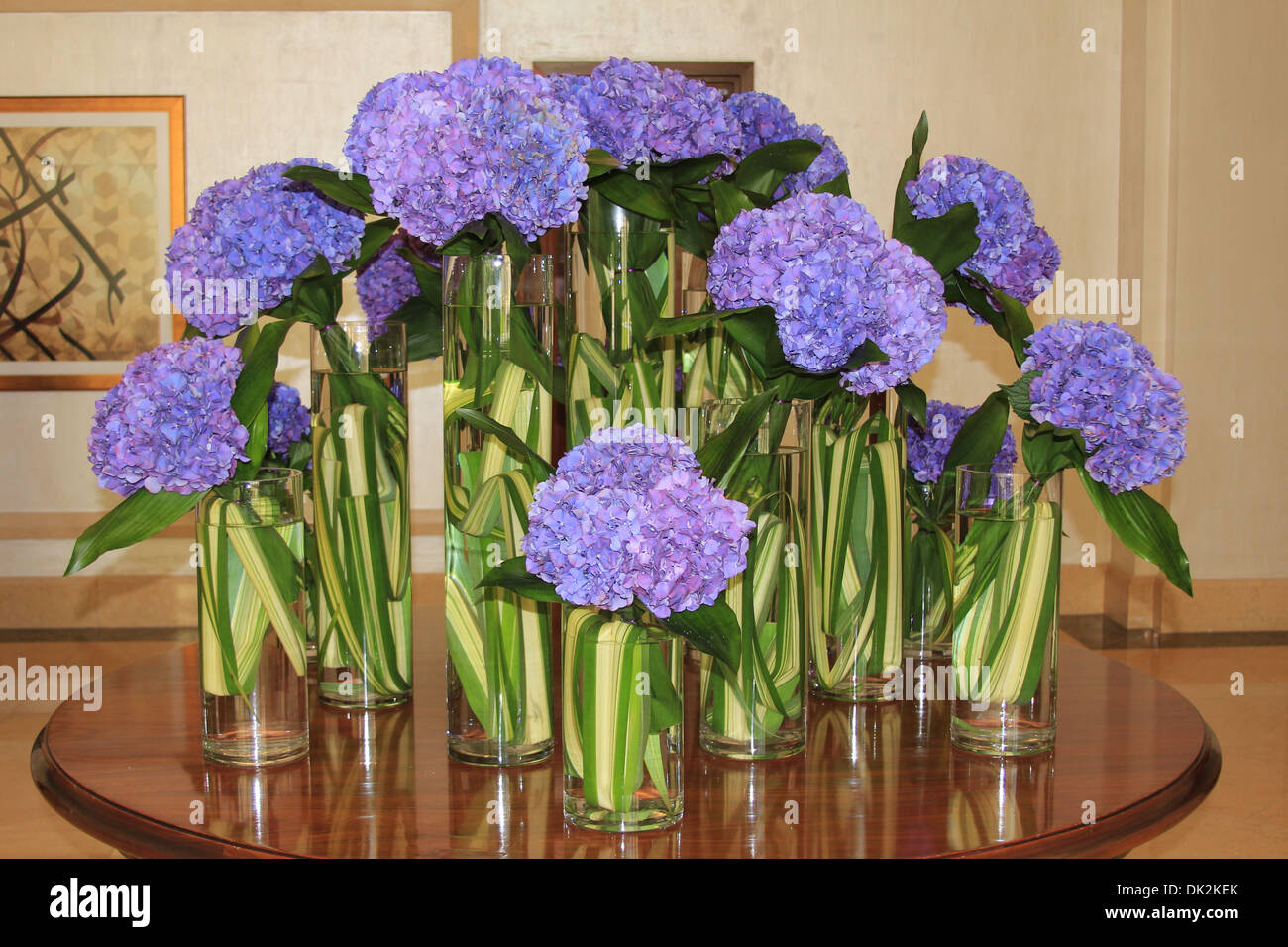 A display of Hydrangeas on a table in a vase Stock Photo, Royalty Free