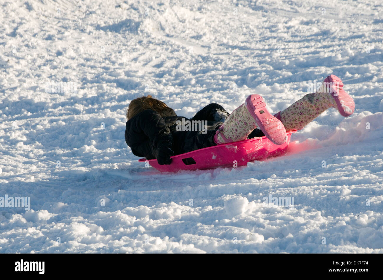sledging uk snow sledge sledges people children kids playing in the