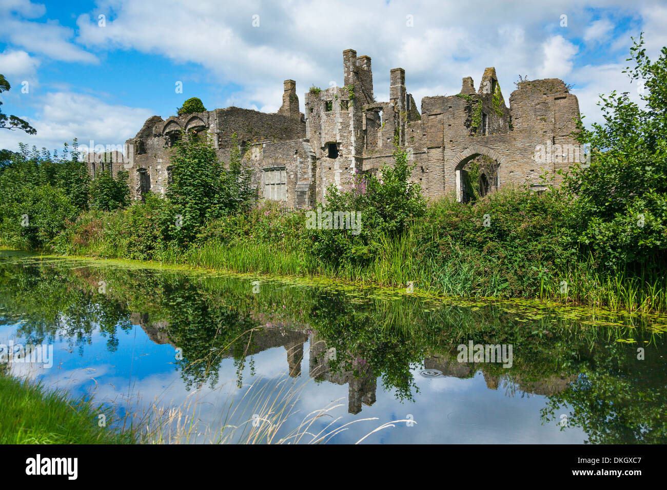 Neath Abbey, Wales, United Kingdom, Europe Stock Photo, Royalty Free