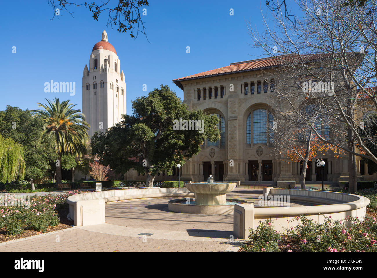 Stanford University, Palo Alto, CA Stock Photo, Royalty Free Image 63825561 Alamy