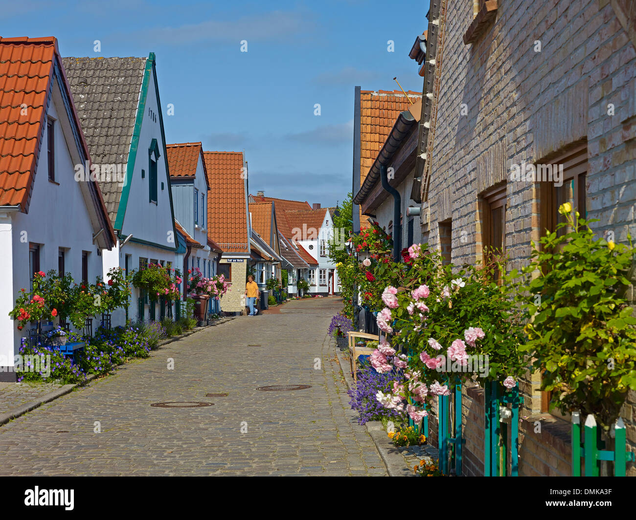 sh flensburg handewitt sh flensburg handewitt