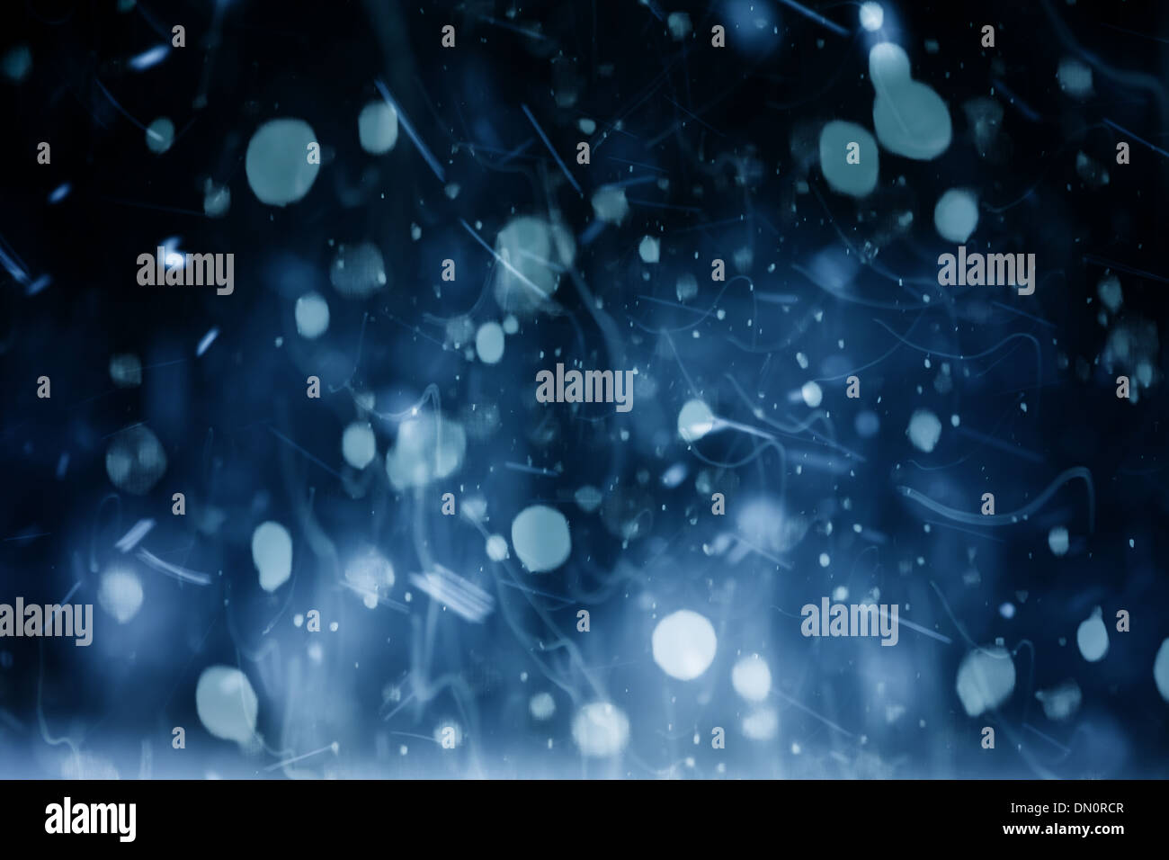 Snow Falling At Night Snow Falling At Night