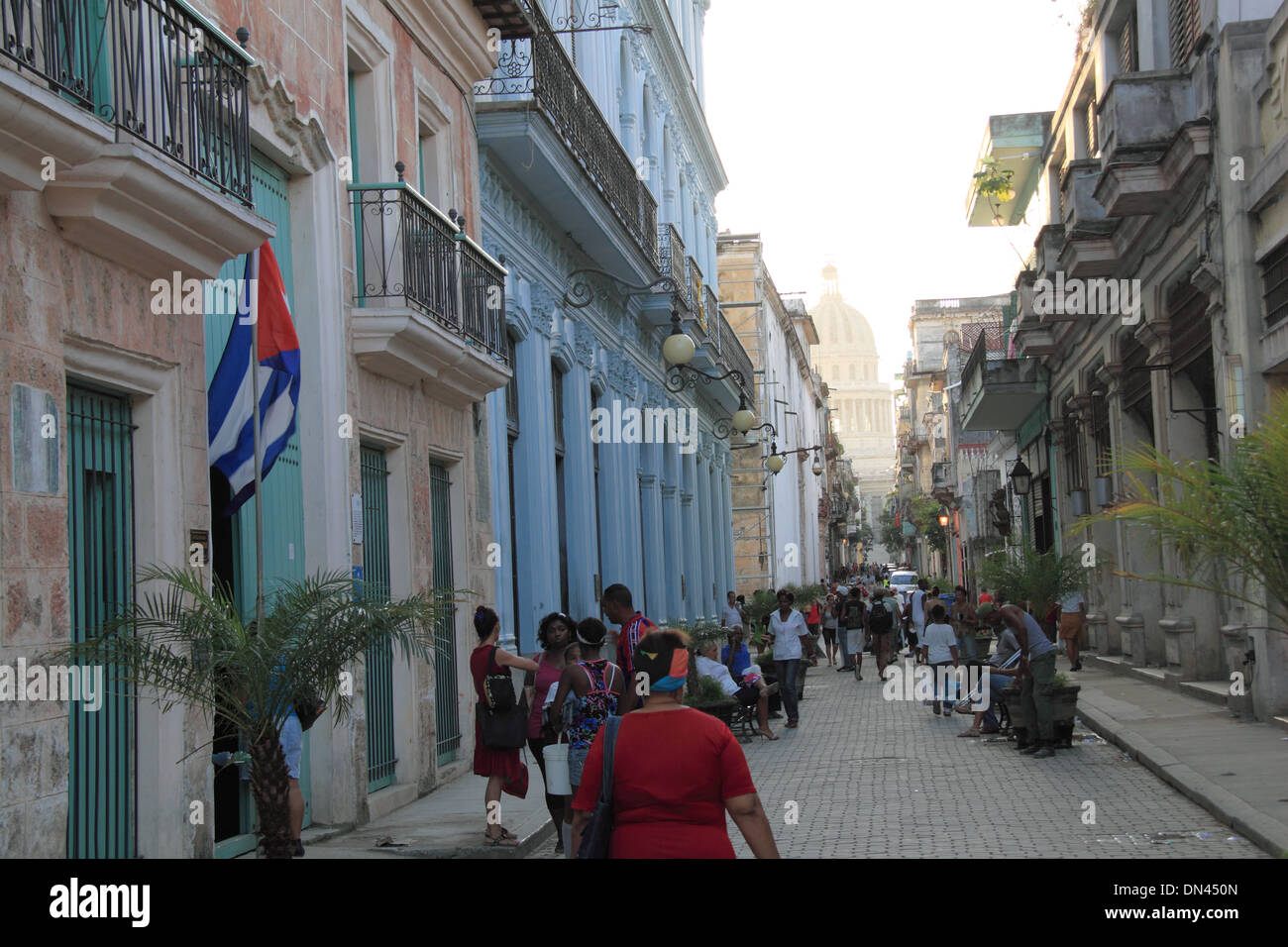CALLE REY calle rey: