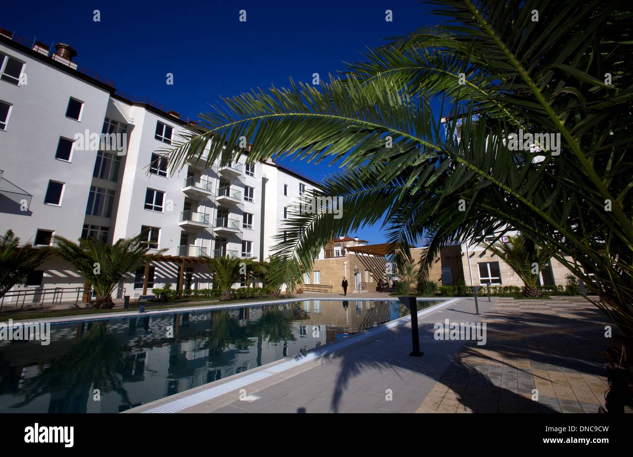 19th dec 2013 palm trees and a swimming pool are seen in the olympic village next to the olympic park in sochi russia 19 december 2013 - Olympic Swimming Pool 2013 19th dec 2013 palm trees and a swimming pool are seen in the olympic village next to the olympic park in sochi russia 19 december 2013 - Olympic Swimming Pool 2013