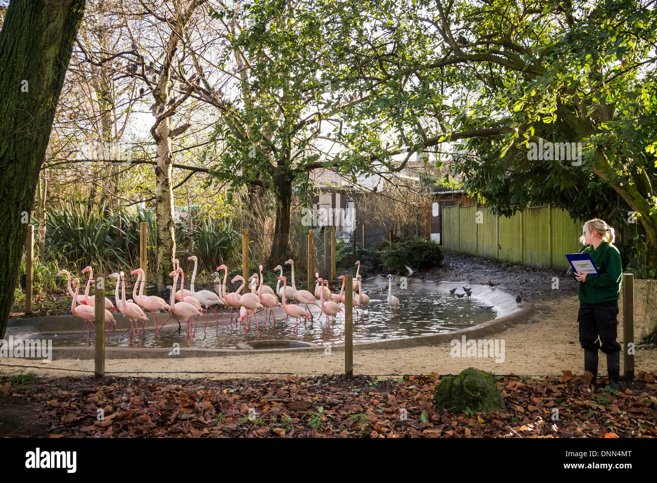 zoological society zoological society