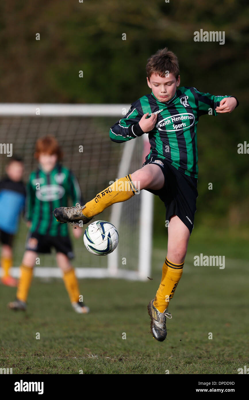 Hartley Wintney Falcons junior football team (yellow) play Curley Stock
