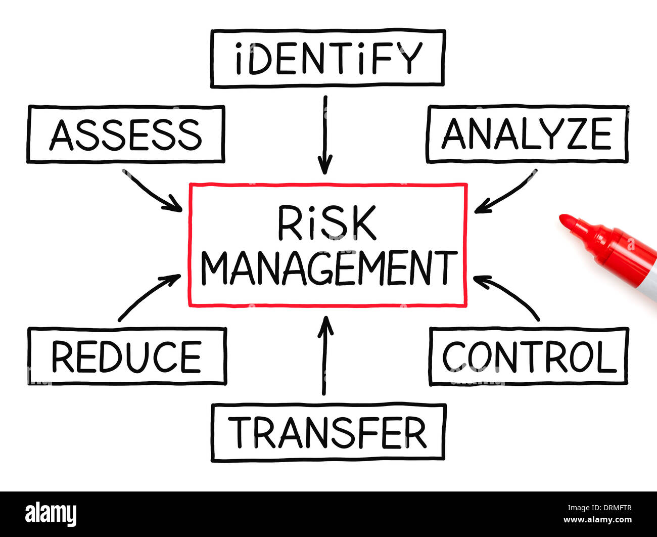 Term paper of management