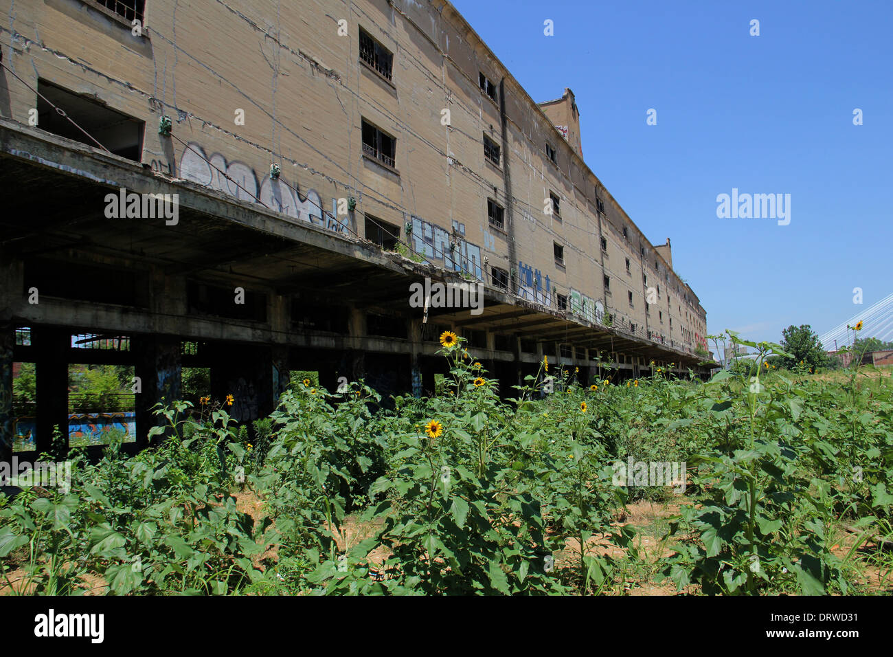 Abandoned warehouse St. Louis Missouri blight Stock Photo, Royalty Free Image 66327269 Alamy