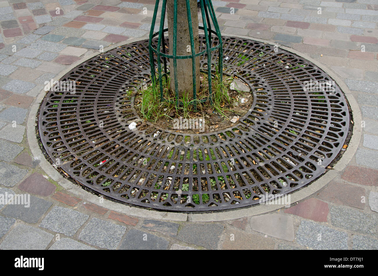 Metal grill around tree base in Paris, France Stock Photo, Royalty Free