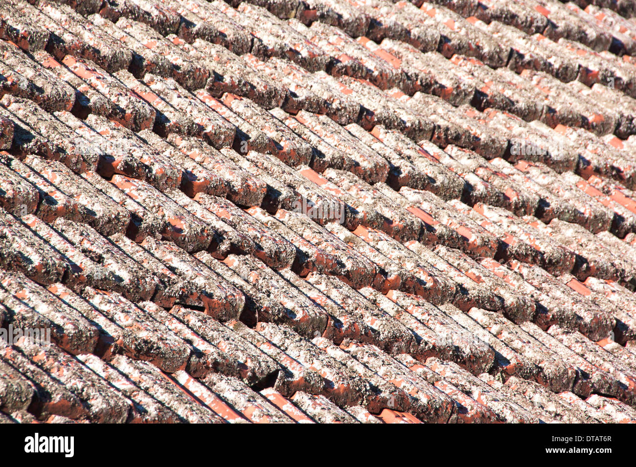 Close Up Of Roof Tiles Covered In Lichen Stock Photo Alamy