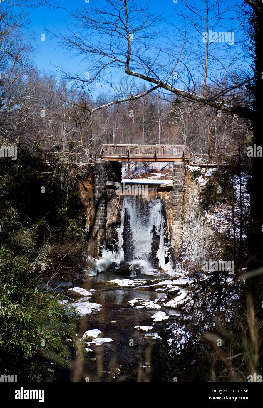 Winter Scene at the Biltmore Mansion Grounds, Asheville, North Stock