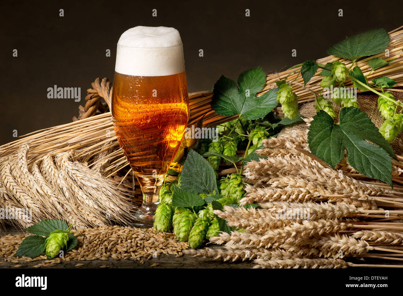 Beer Glass And Raw Material For Beer Production Stock Photo Alamy