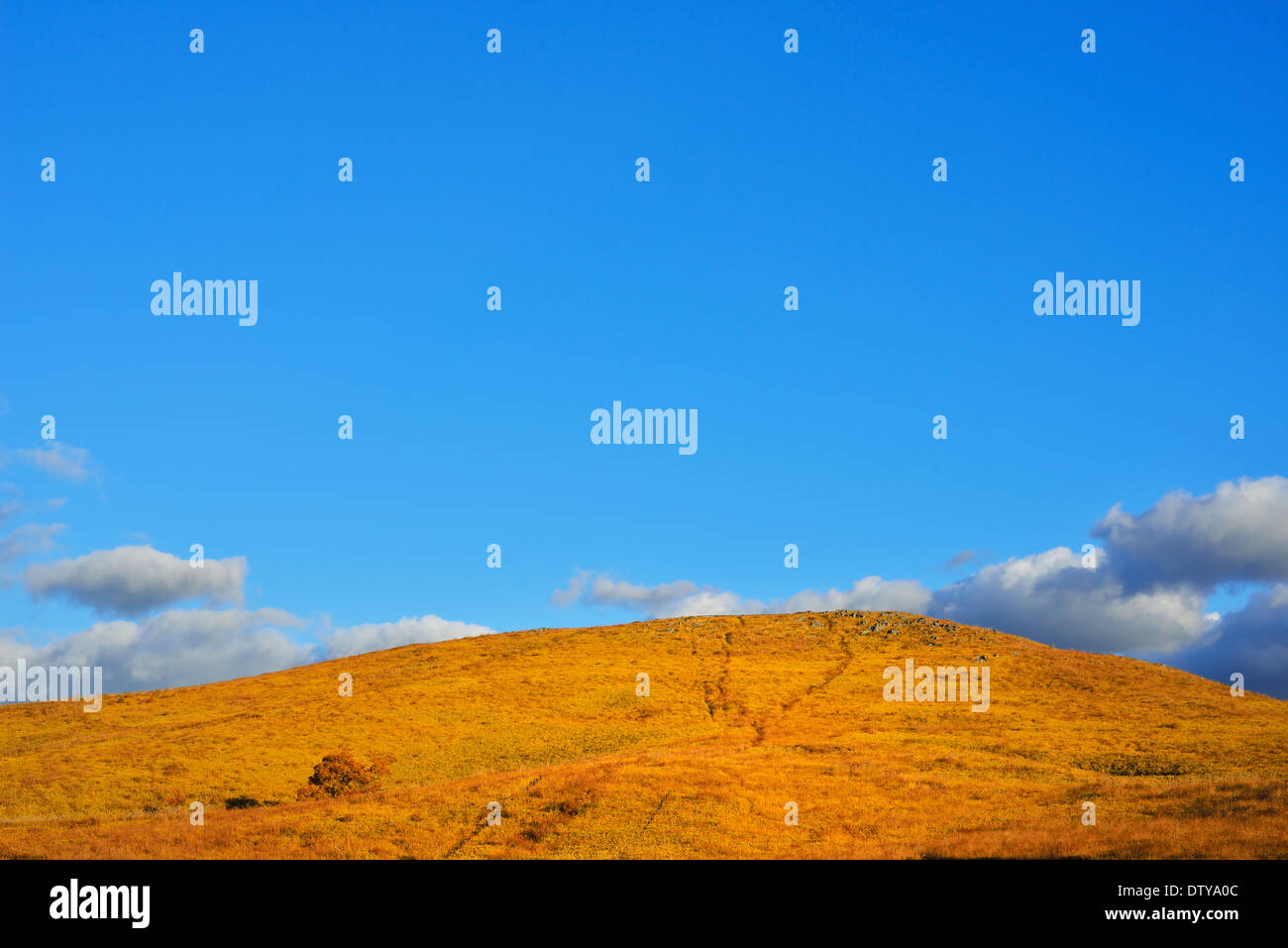 Yamaguchi Prefecture, Japan Stock Photo, Royalty Free Image: 66983404
