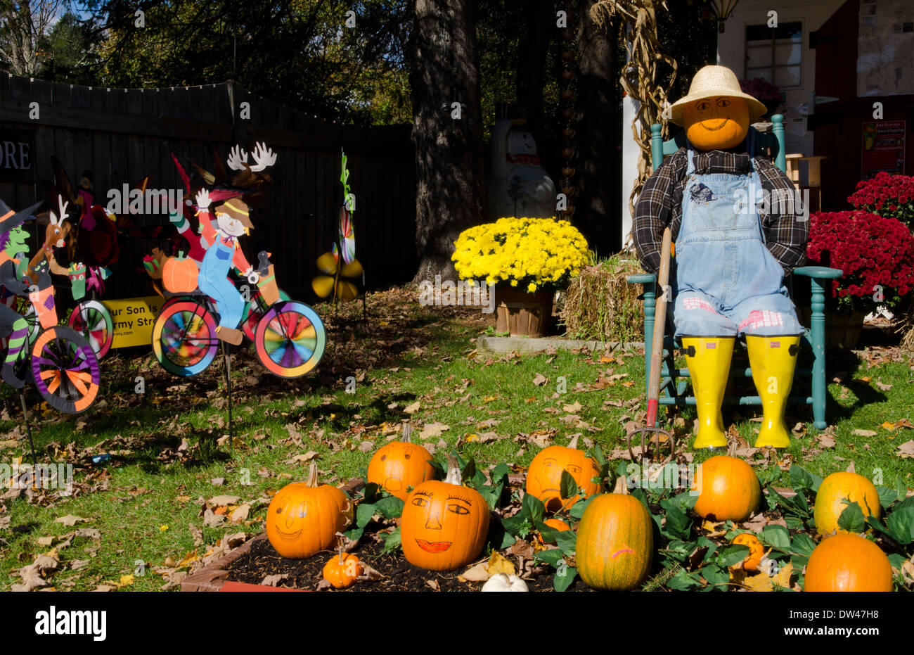 jackson new hampshire pumpkins for halloween in northern new england in fall foliage in october - Halloween New Hampshire jackson new hampshire pumpkins for halloween in northern new england in fall foliage in october - Halloween New Hampshire