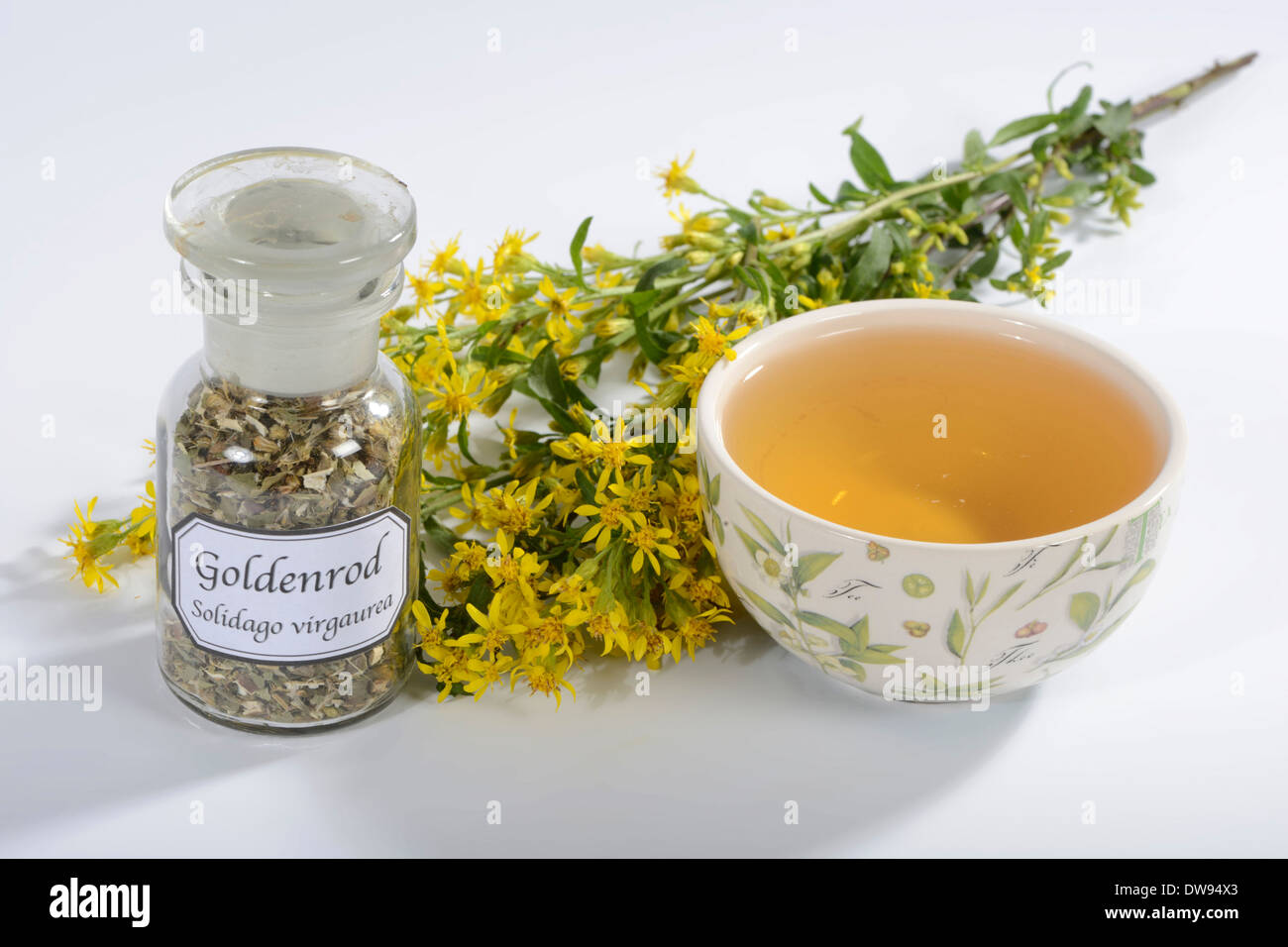 Goldenrod tea Stock Photo, Royalty Free Image 67198939 Alamy
