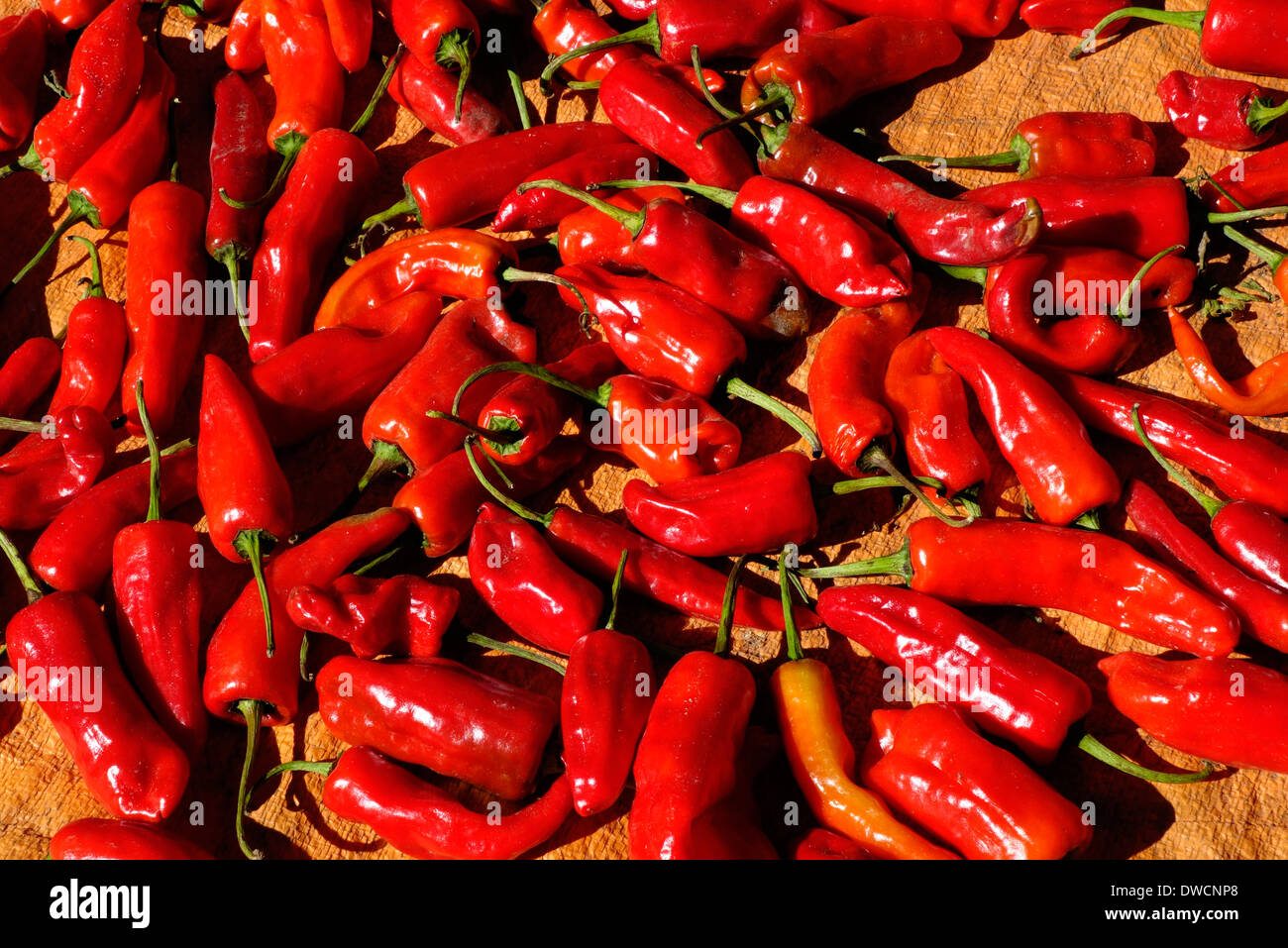 Sun drying red chili peppers on a woven matt, Prok, Nepal Stock Photo