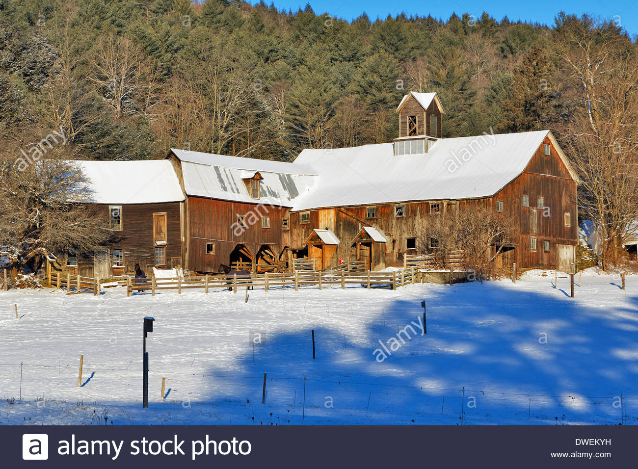 Swingers in west fairlee vermont Naked women of cranford.