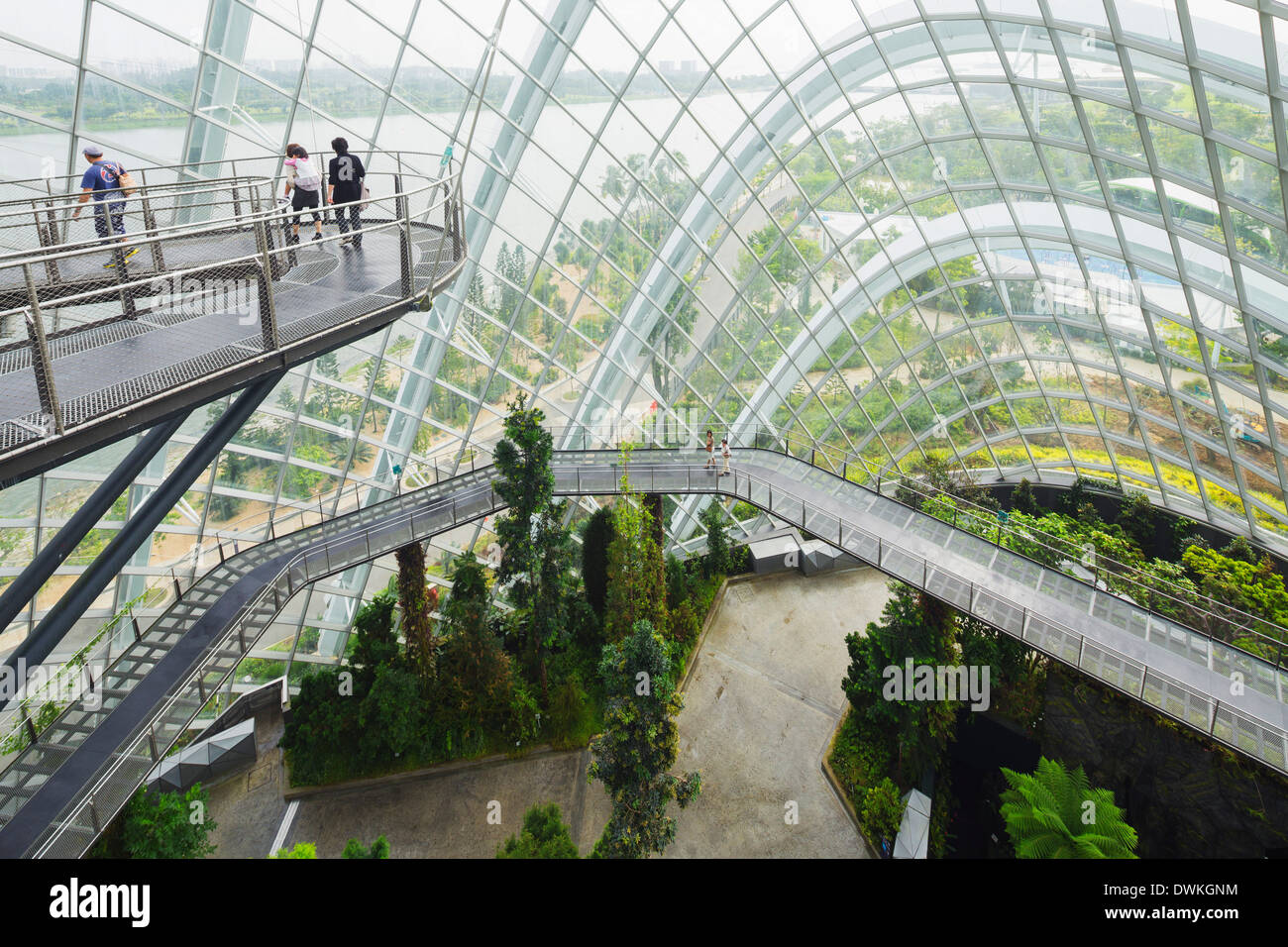Garden By The Bay Cloud Forest canopy walkway, gardensthe bay, cloud forest, botanic garden Garden By The Bay Cloud Forest canopy walkway, gardensthe bay, cloud forest, botanic garden