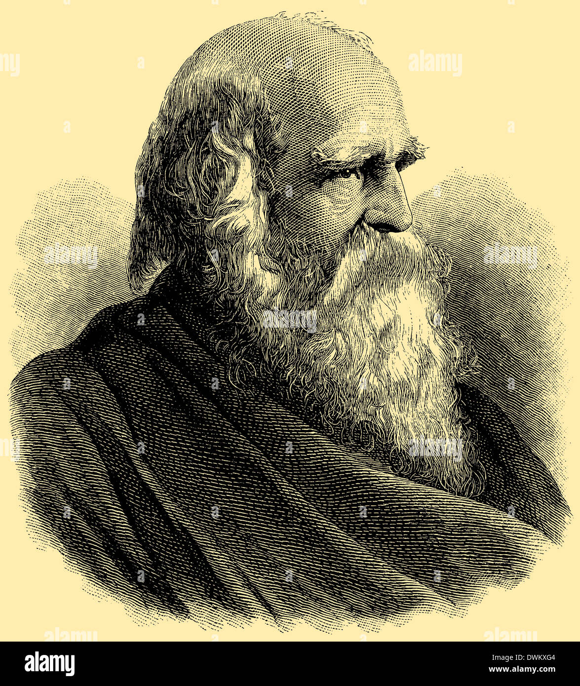 William Cullen Bryant november William Cullen Bryant november