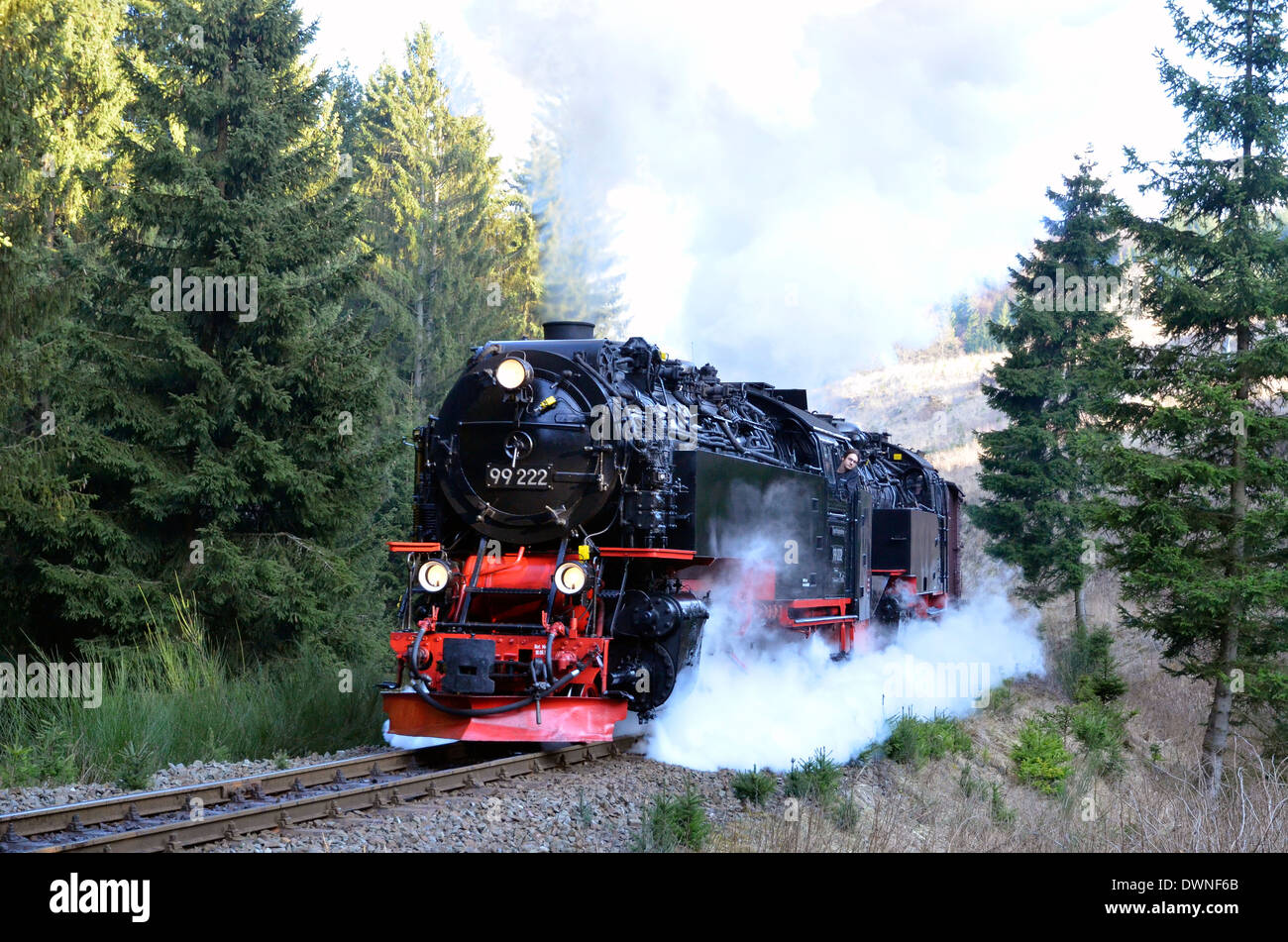 Harzer Schmalspurbahnen HSB Trains In The Harz Sachsen Anhalt