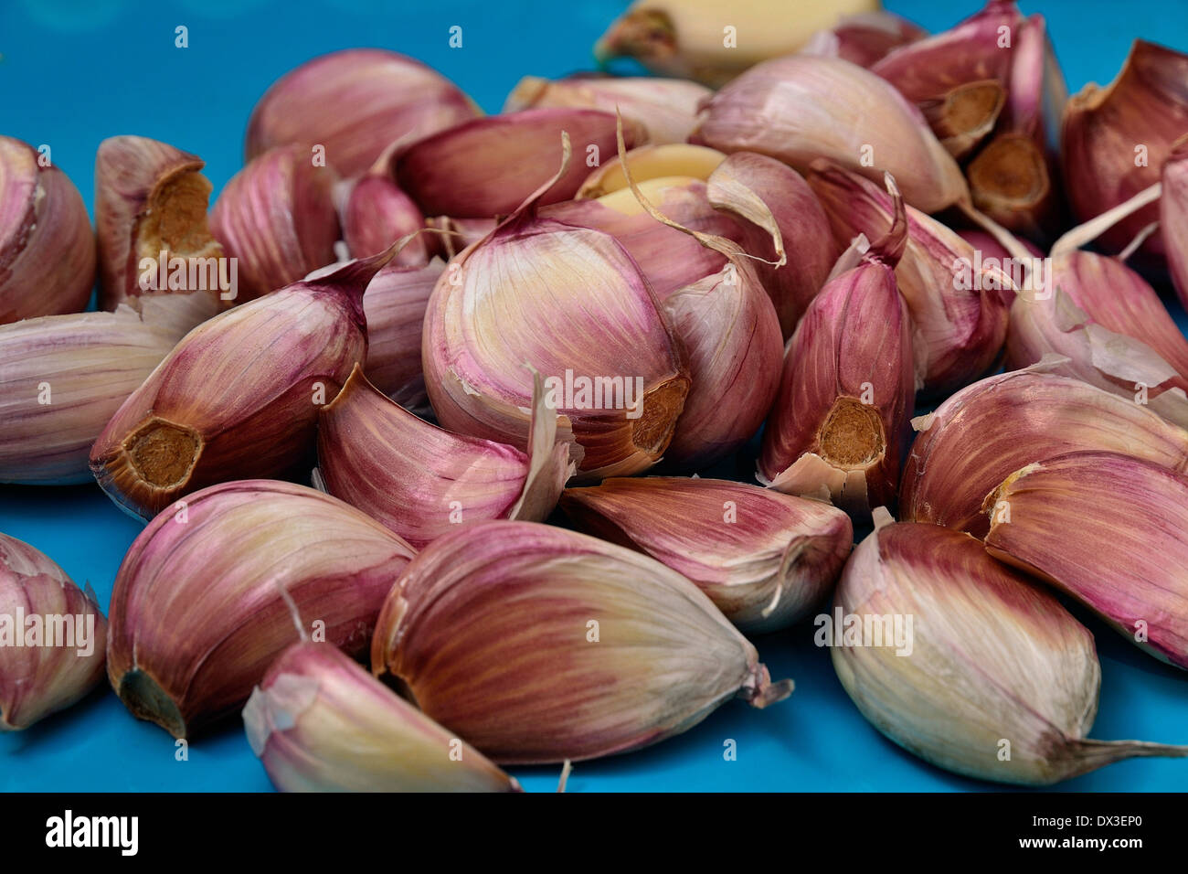 Garlic Allium Sativum For Planting Stock Photo Alamy