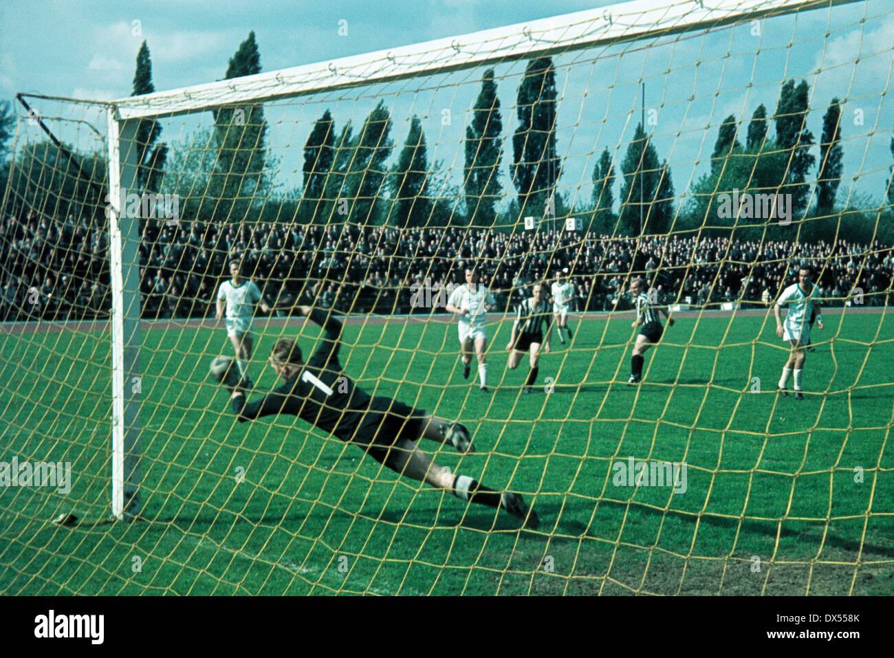 regionalliga football regionalliga football