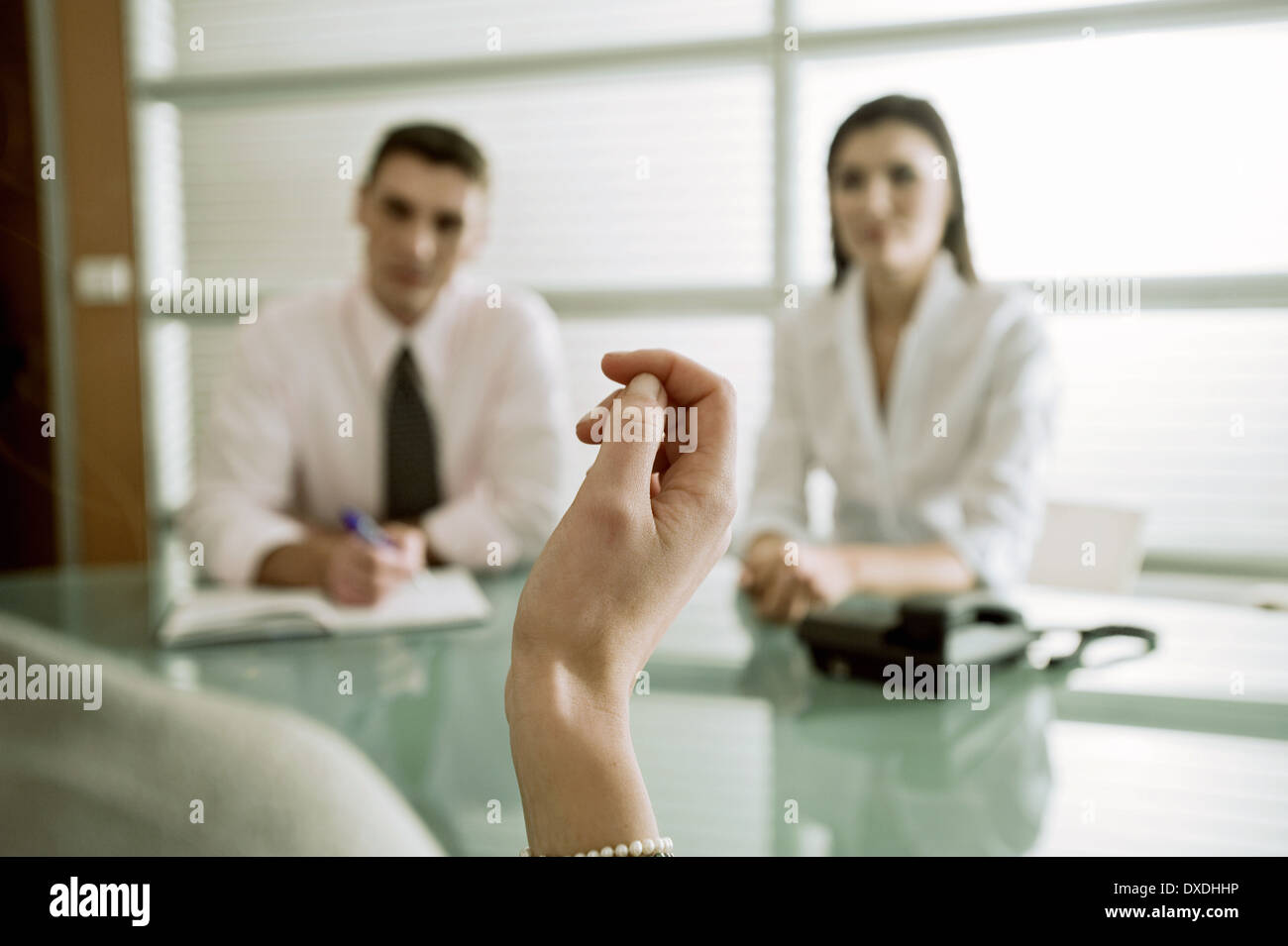 business-people-interviewing-professiona