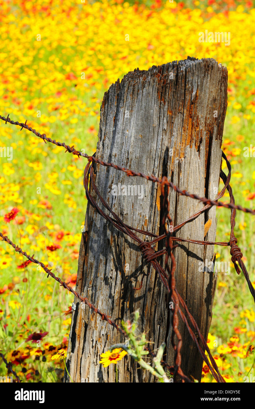 Old Barbed Wire Fence Old Barbed Wire Fence